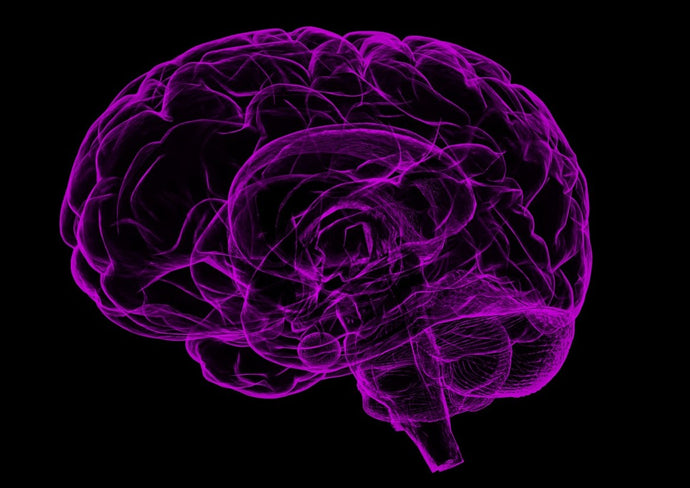 Nourish Your Brain Naturally: The Crocin Connection